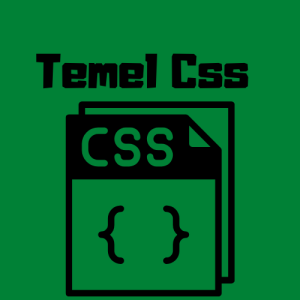 temel CSS ve temel CSS kullanımı